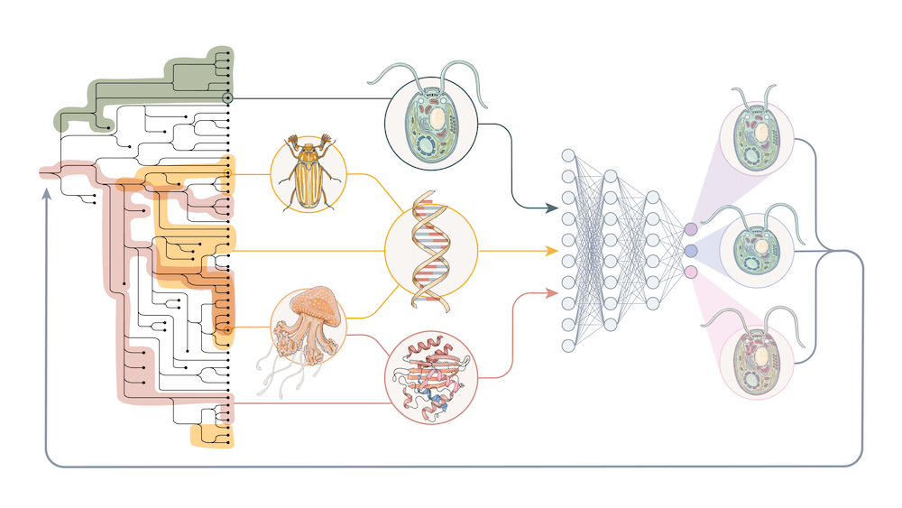 Arcadia is heading to #TAGC24.